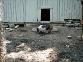 August2008 054